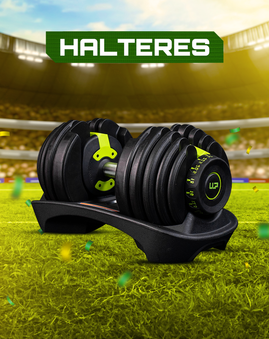 Halteres