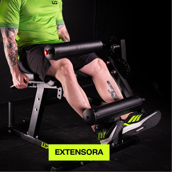 Cadeira Extensora e Flexora 2 em 1 UPLIFT