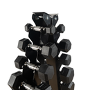 Kit Halteres Sextavados 1 a 10kg Par com Suporte